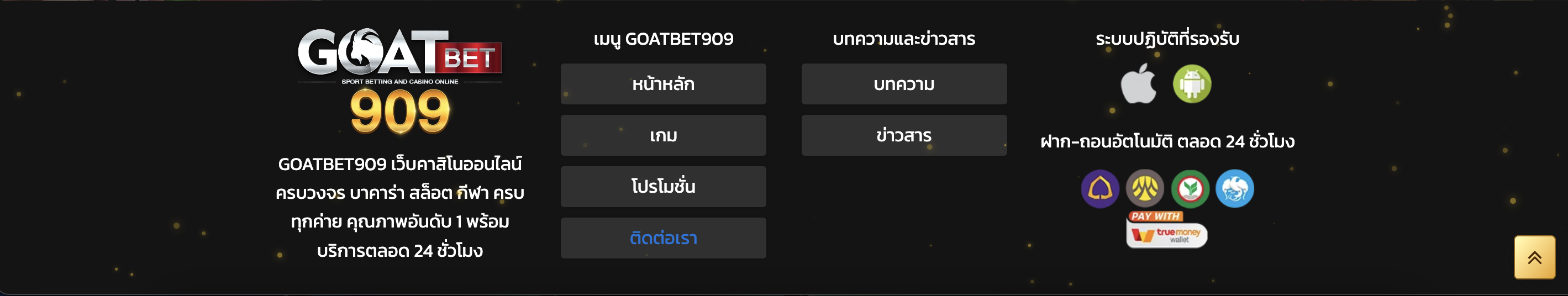 บทสรุป